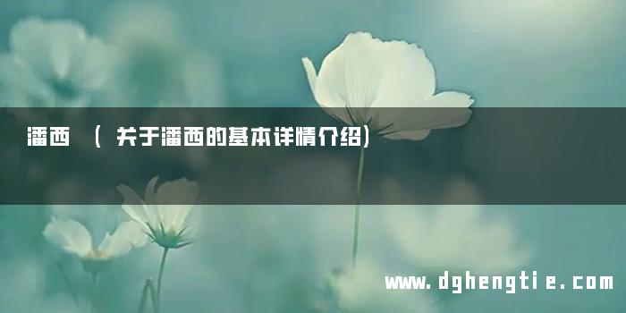 潘西 (关于潘西的基本详情介绍)